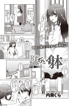 堕ちていく躰 前編 [三和出版]