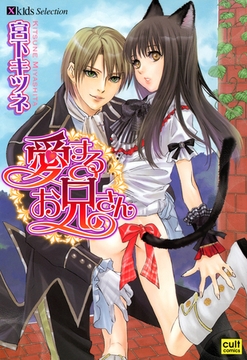 愛するお兄さん [笠倉出版社]