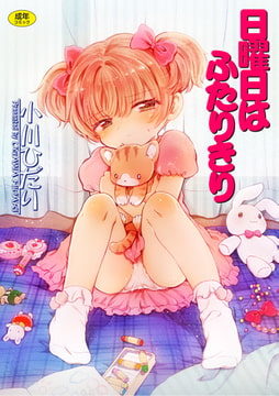 日曜日はふたりきり [茜新社]