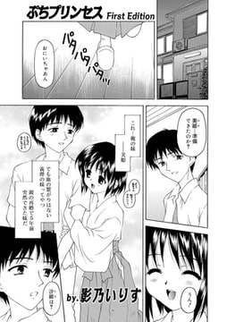 ぷちプリンセス [メディアックス]