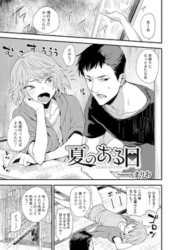 夏のある日 [メディアックス]