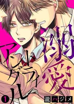 【特典付き合本】溺愛トライアングル(1) [シガリロ]