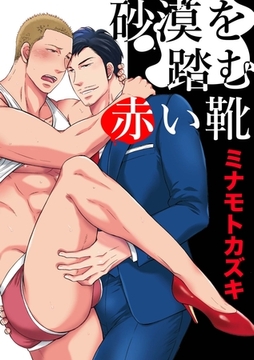 砂漠を踏む赤い靴 [メディアソフト]