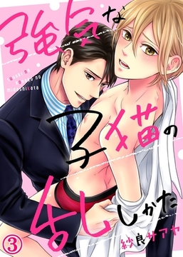 強気な子猫の乱しかた３ [モバイルメディアリサーチ]