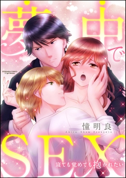 夢中でSEX 寝ても覚めても抱かれたい（分冊版）　【第2話】 [ぶんか社]