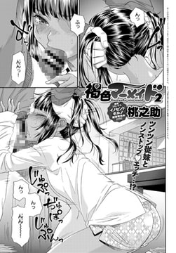 褐色マーメイド(2) [ジーオーティー]