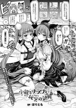 小龍とフラワと秘密の部屋【単話】 [キルタイムコミュニケーション]