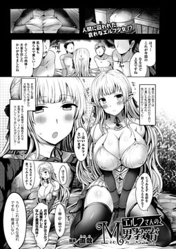 エルフさんのM男教育【単話】 [キルタイムコミュニケーション]