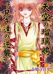 天空の瑠璃鵺～兄キ達の逆襲～ [グループ・ゼロ]