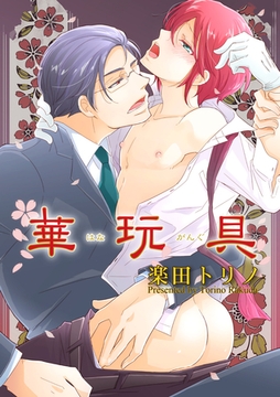 華玩具 [メディアソフト]