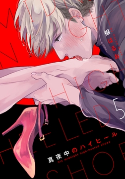 真夜中のハイヒール(5) [シュークリーム]