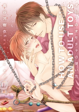 オトナのオモチャの使い方　トラックで野郎【コミックス版】 [道玄坂書房]