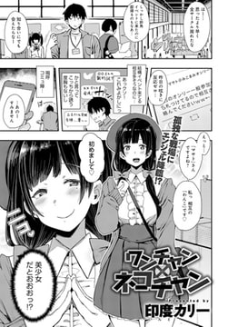 ワンチャン×ネコチャン [ジーオーティー]