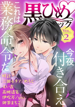 黒ひめコミック Vol.2 [アイプロダクション]