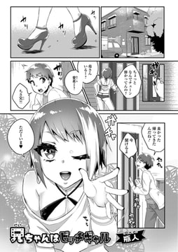 兄ちゃんはビッチギャル [一水社]
