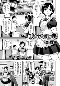 君はメイドで僕は僕 [文苑堂]