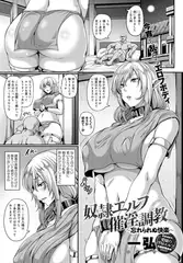 奴○エルフ催淫調教～忘れられぬ快楽～
