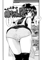 ちょっと待ってお姉ちゃん!?