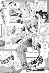 ぷりーず☆てぃーち