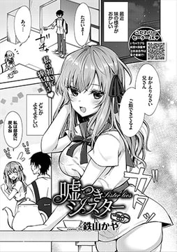 嘘つきシスター [文苑堂]