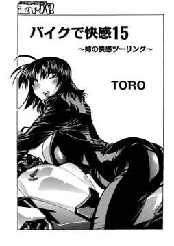 バイクで快感15 ～姉と快感ツーリング～ [メディアックス]