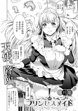 プリンセスメイド [ジーオーティー]