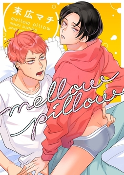 mellow pillow [メディアソフト]