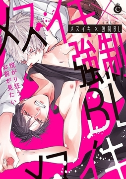 メスイキ×強○BL【特典付き】 [メディアソフト]