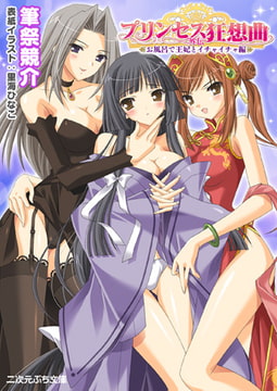 プリンセス狂想曲外伝 お風呂で王妃とイチャイチャ編 [キルタイムコミュニケーション]