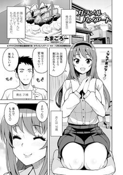 カラメルハメアート [辰巳出版]