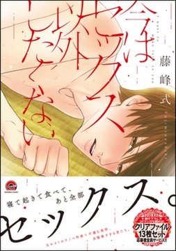 今はセックス以外したくない【電子限定かきおろし漫画付】 [海王社]