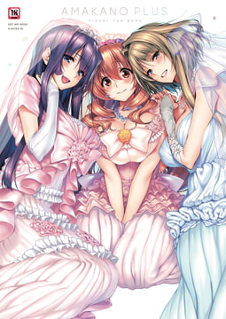 アマカノ＋ ビジュアルファンブック [ジーオーティー]