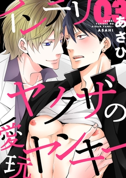 インテリヤクザの愛玩ヤンキー 3巻 [アムコミ]