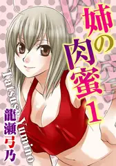姉の肉蜜【分冊版】1