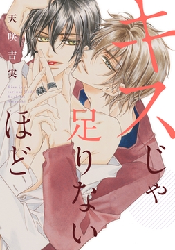 キスじゃ足りないほど [新書館]