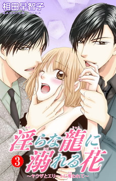 淫らな龍に溺れる花～ヤクザとエリートに奪われて～ 3巻 [大都社/秋水社]