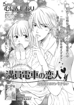 満員電車の恋人～退院までガマンできない～ 【短編】 [竹書房]