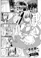 文化祭・し～くれっとる～む