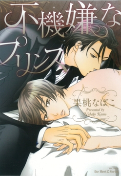 不機嫌なプリンス [大洋図書]