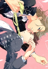 兄の親友お嫁においで　【電子限定おまけマンガ付】 [大洋図書]