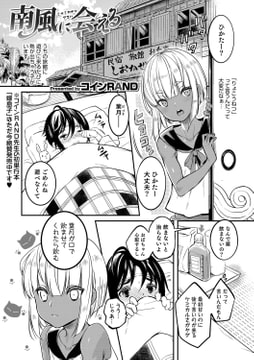 南風に会える [メディアックス]