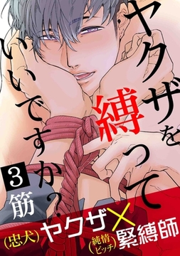 ヤクザを縛っていいですか？　３ [メディアソフト]