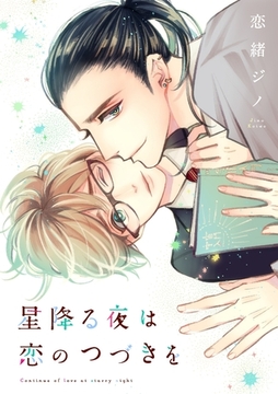 星降る夜は恋のつづきを [メディアソフト]