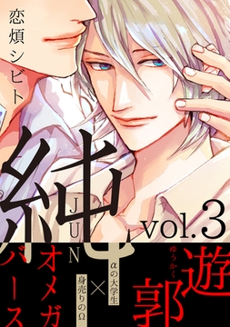 純 ３ [メディアソフト]