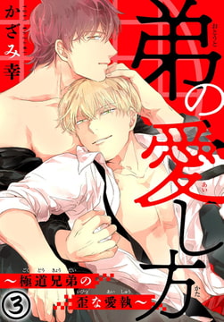 弟の愛し方～極道兄弟の歪な愛執 3巻 [秋水社ORIGINAL]