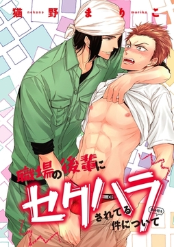 職場の後輩にセクハラされてる件について [新書館]