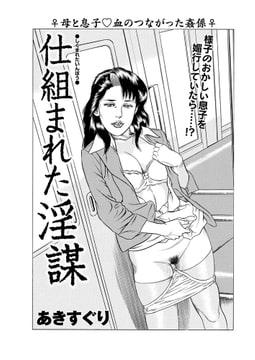 仕組まれた淫謀 [辰巳出版]