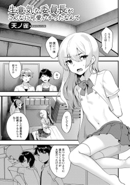 生意気な委員長がこんなに可愛かったなんて [一水社]