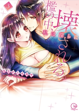 檻の中、私は淫らに壊される。3【単行本版特典ペーパー付き】 [スクリーモ]