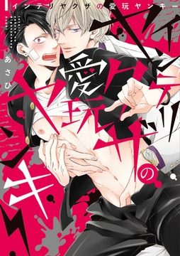 インテリヤクザの愛玩ヤンキー【単行本版】 [アムコミ]